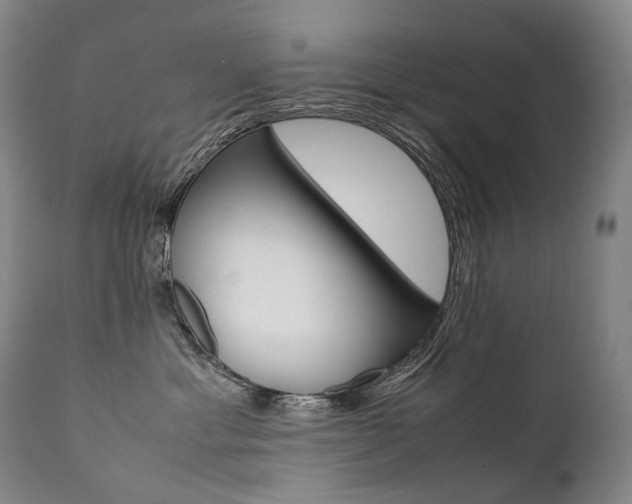 X0000111390429200907101005