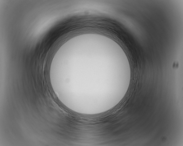 X0000111390431200907101005