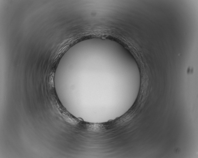 X0000111390432200907101005