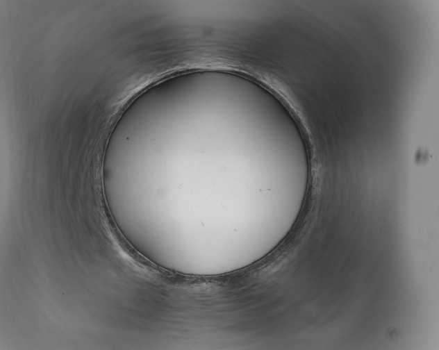 X0000111390433200907101004