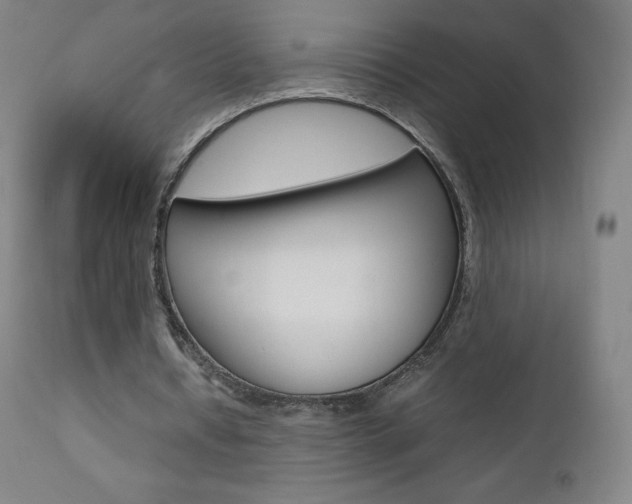 X0000111390434200907101004