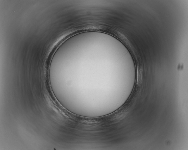 X0000111390435200907101004