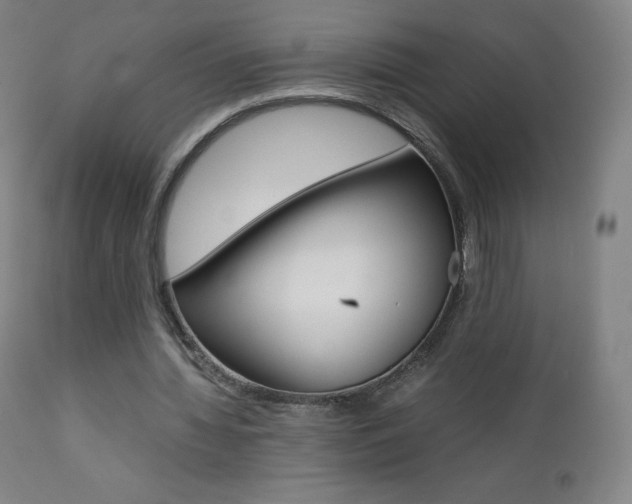 X0000111390436200907101004