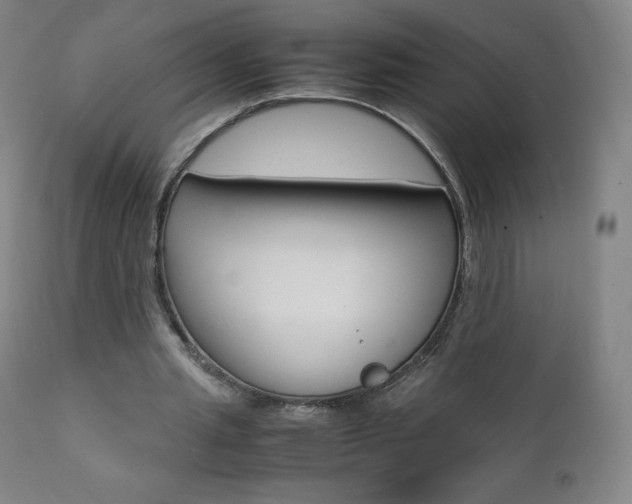 X0000111390437200907101004