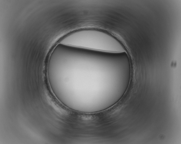 X0000111390439200907101004