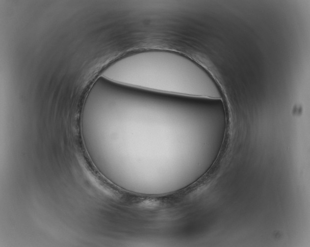X0000111390441200907101005