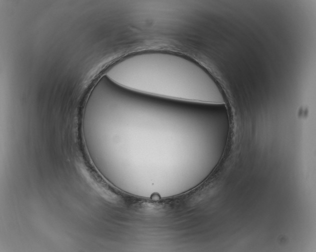 X0000111390442200907101005