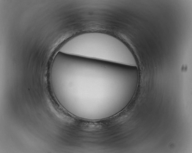 X0000111390443200907101005