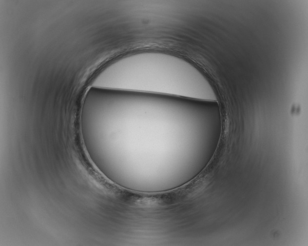 X0000111390444200907101005
