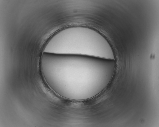 X0000111390446200907101005