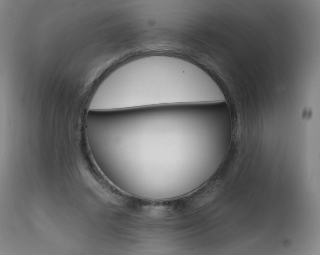 X0000111390448200907101005