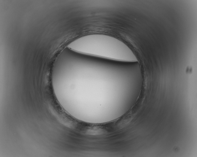 X0000111390451200907101005