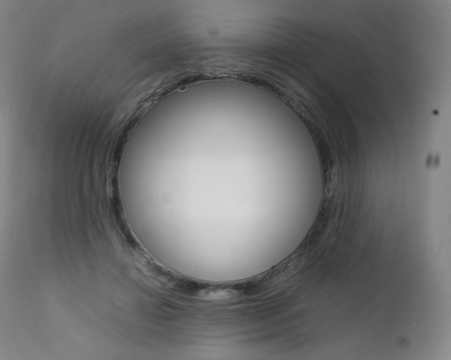 X0000111390452200907101005