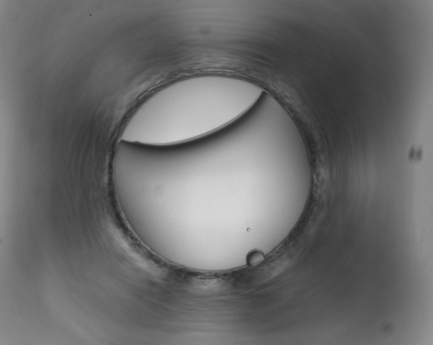 X0000111390454200907101005