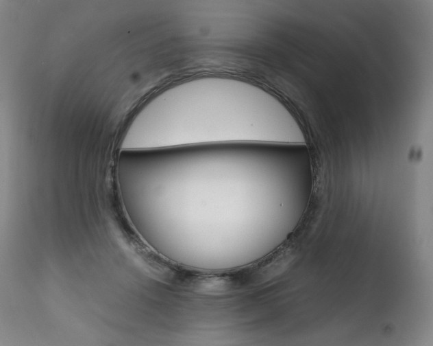 X0000111390456200907101005