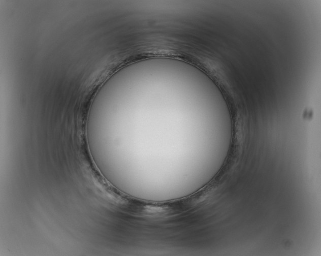 X0000111390457200907101005