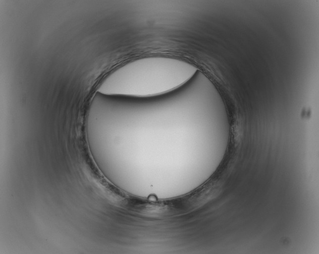 X0000111390458200907101005