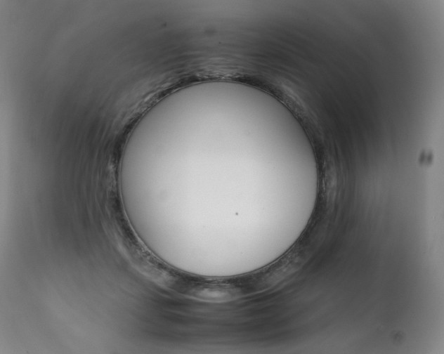 X0000111390459200907101005