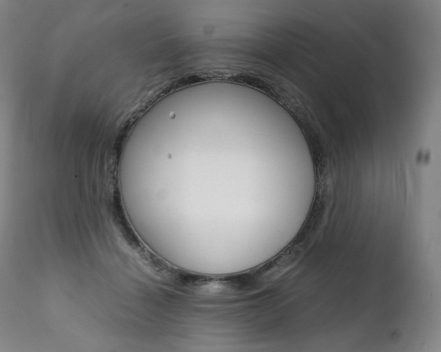 X0000111390460200907101005