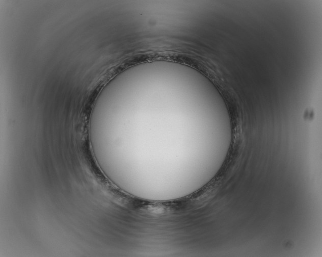 X0000111390464200907101005