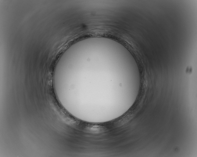 X0000111390467200907101005