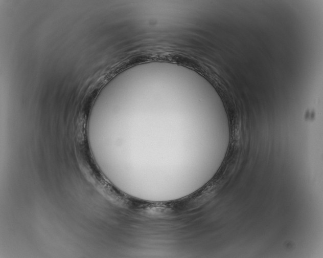 X0000111390468200907101005