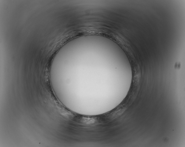 X0000111390469200907101005