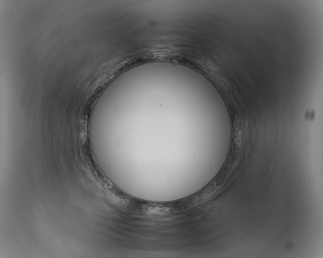 X0000111390471200907101005