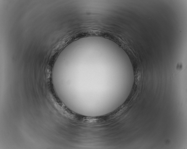 X0000111390472200907101005