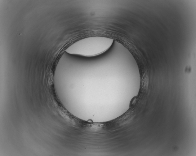 X0000111390474200907101005