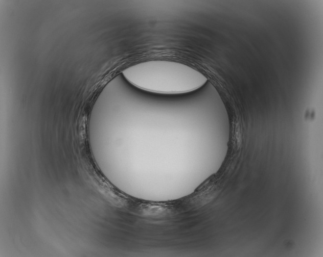 X0000111390475200907101005