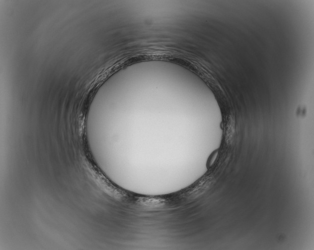 X0000111390476200907101005