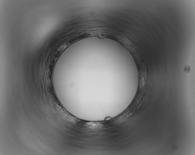 X0000111390477200907101005
