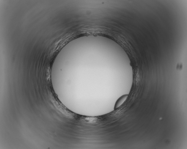 X0000111390478200907101005