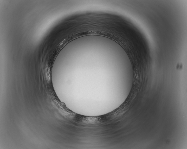 X0000111390479200907101005