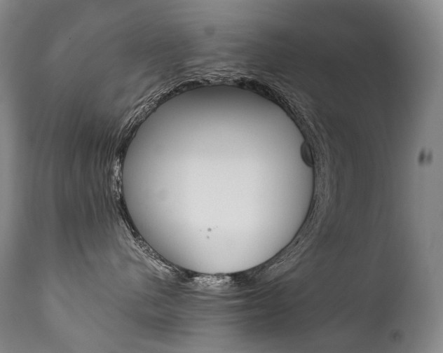 X0000111390480200907101005
