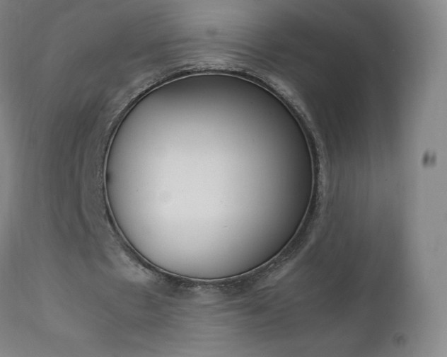 X0000111390481200907101004