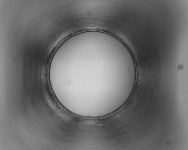 X0000111390482200907101004
