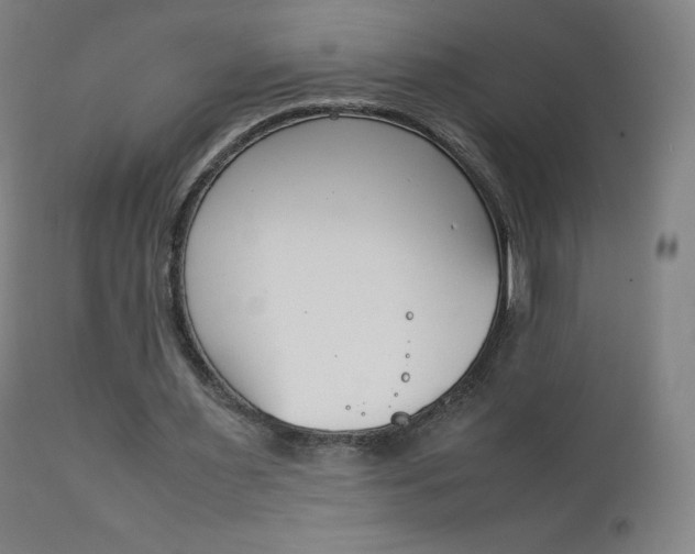 X0000111390483200907101004