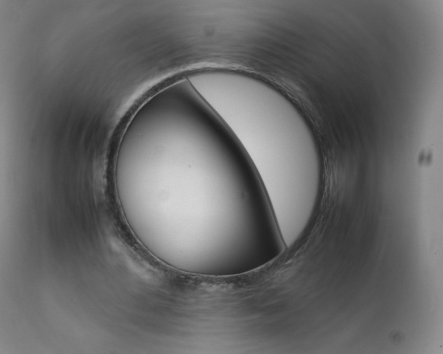 X0000111390484200907101004