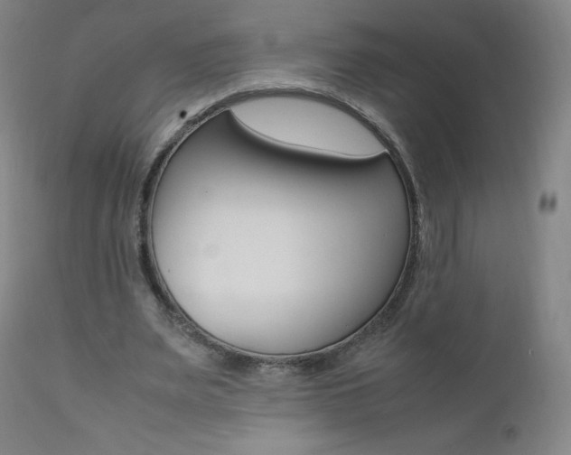 X0000111390487200907101004