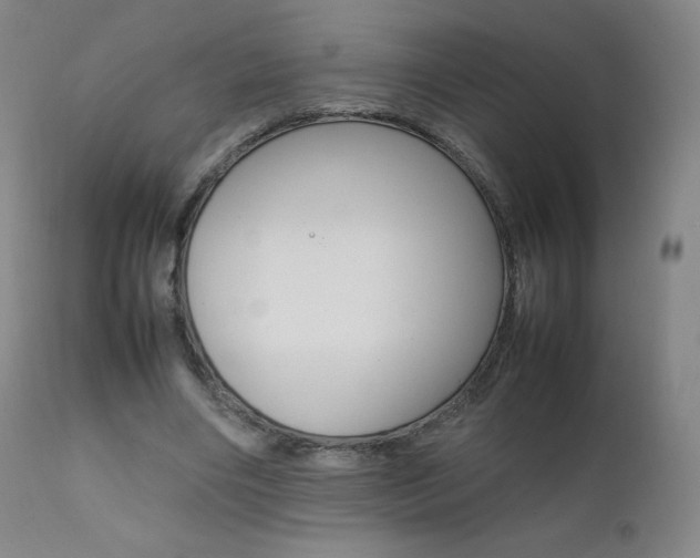 X0000111390490200907101004