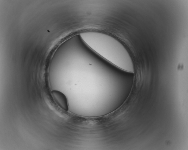 X0000111390492200907101004