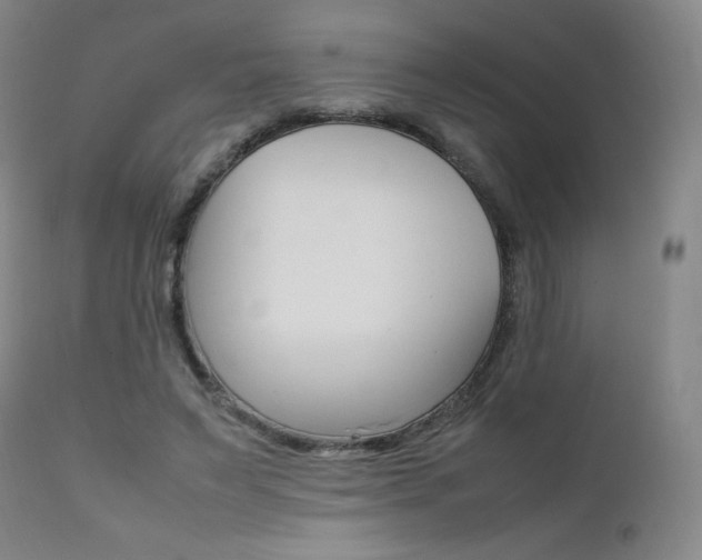 X0000111390495200907101004