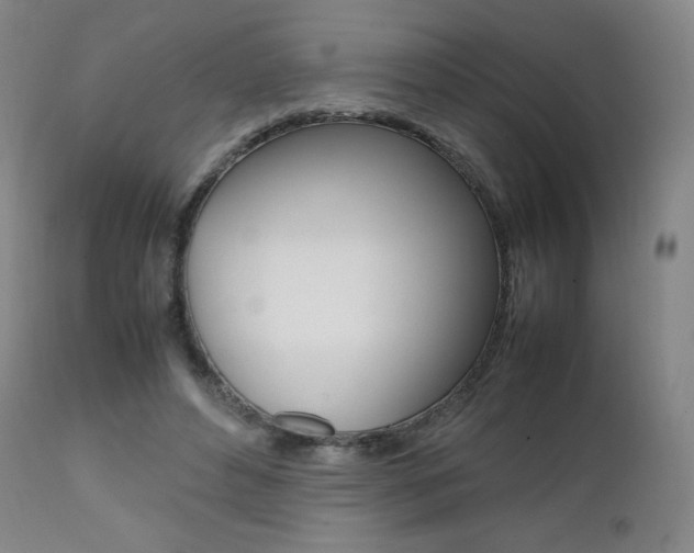 X0000111390496200907101004