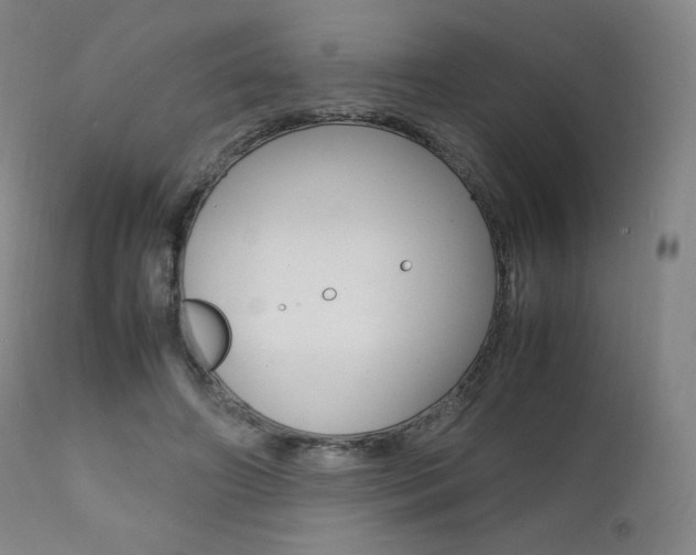 X0000111390498200907101004
