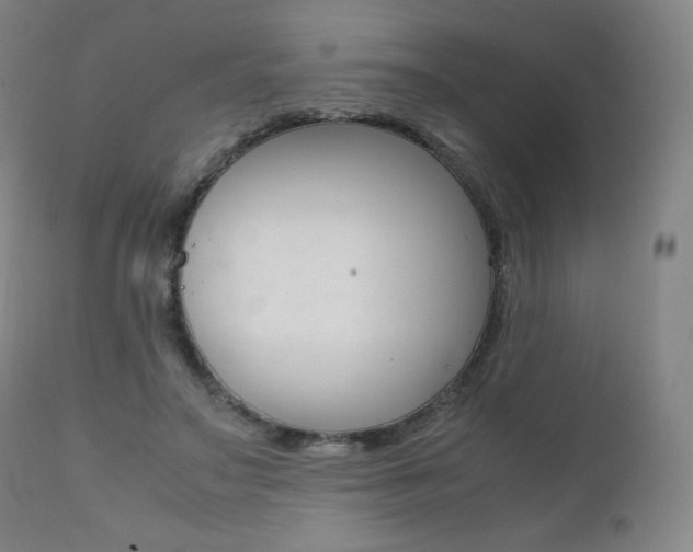 X0000111390499200907101004
