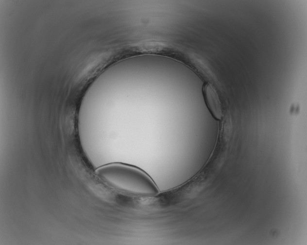 X0000111390501200907101004