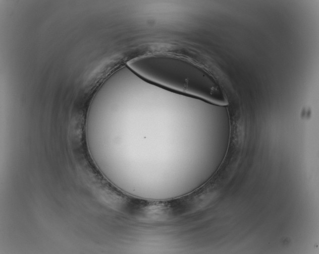 X0000111390505200907101004