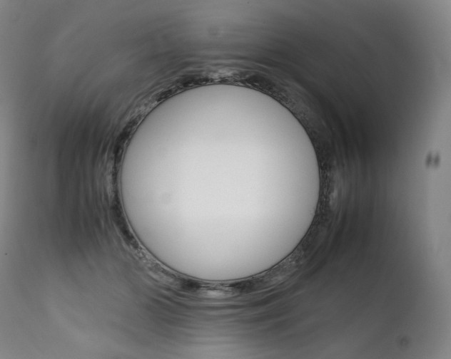 X0000111390510200907101004
